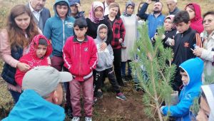 Mutlu Yüzler Projesi'nde Ağaç Dikme Etkinliği Yapıldı 