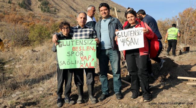 Ali Dağı'nda Ağaç Seferberliği