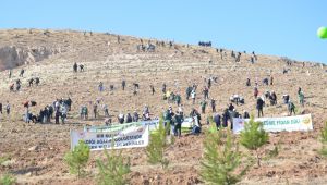 Kayseri'de 487 bin 500 fidan toprakla buluşturuldu