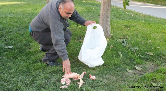 Kayseri'de 5 ton atık yiyecek, sokak hayvanlarına ulaştırılıyor 