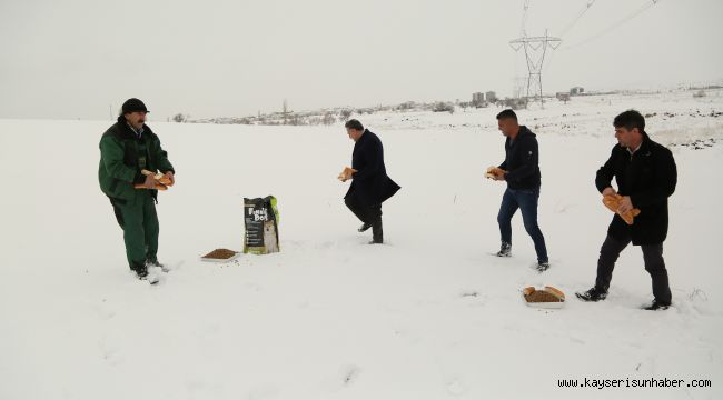 Başkan Cabbar, hayvanlar için doğaya yiyecek bıraktı