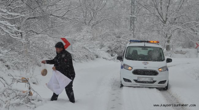 Bünyan Belediyesi yaban hayvanlarına yem bıraktı