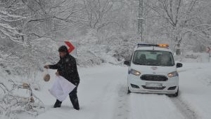 Bünyan Belediyesi yaban hayvanlarına yem bıraktı