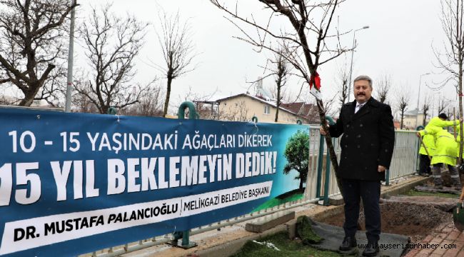 Gazetecilere özel ağaç dikimi yapılacak