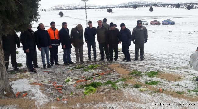 Kayseri'de yaban hayatına tam destek