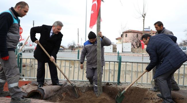 Melikgazi’de 2020 yılı ağaçlandırma ve yeşillendirme yılı olacak