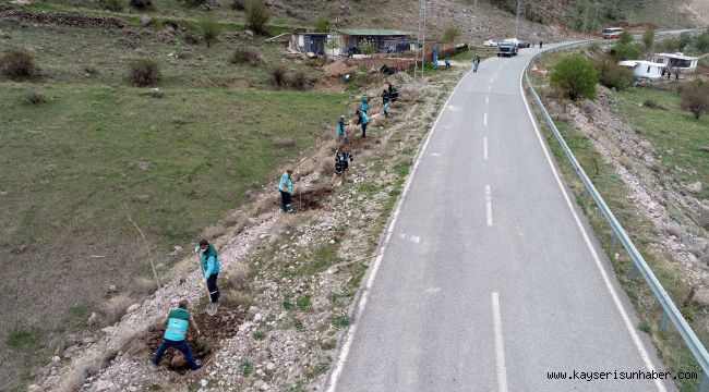 Kocasinan'da fidanlar toprakla buluşuyor