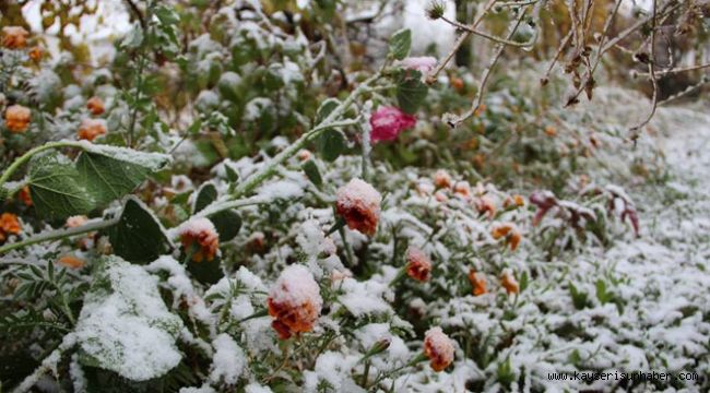 Meteoroloji'den 'Zirai don' uyarısı