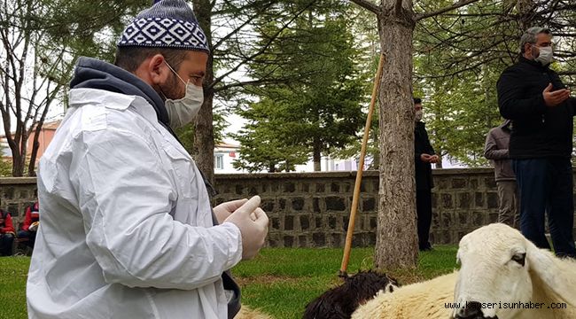 Virüsün defi için kurbanlar kesildi