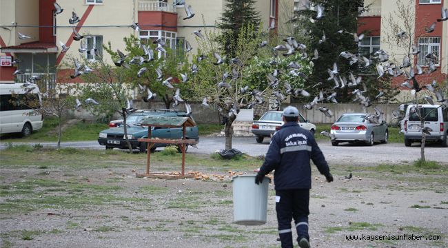 Sokak hayvanlarını özel ekip besliyor