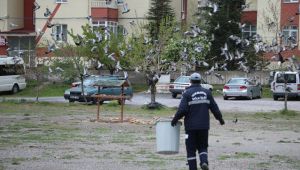 Sokak hayvanlarını özel ekip besliyor