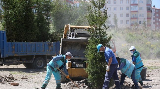 Kocasinan'da fidanlar toprakla buluşuyor