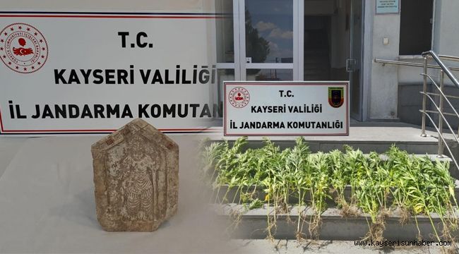 Jandarma kenevir eken ve tarihi eser kaçakçılığı yapan şahısları yakaladı