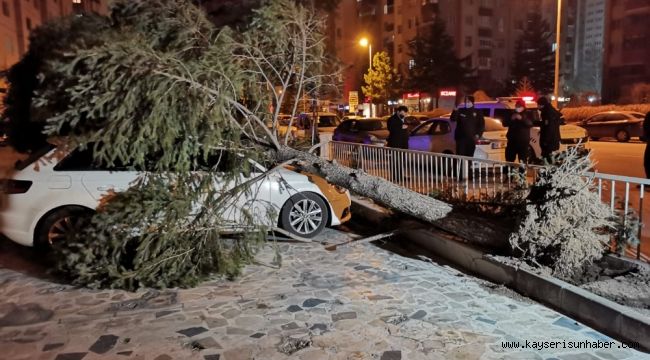 Şiddetli rüzgar çatıları uçurdu, ağaçları yerinden söktü