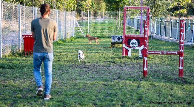 Hayvanseverlerden Patiyol'a özel teşekkür