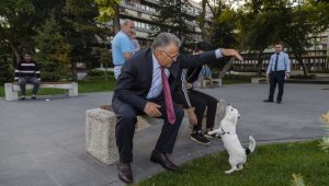 Büyükşehir sokak hayvanlarının yanında