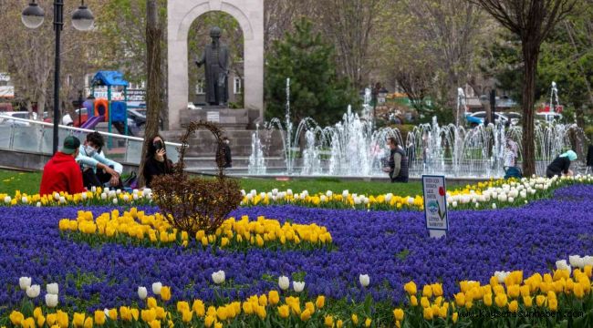 Kayseri, 1 milyon lale ve sümbülle donatıldı