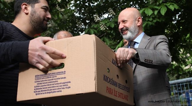 Kocasinan Belediyesi'nin dağıttığı fideler ürün verdi