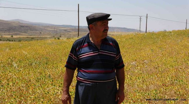 "Anız yangınında hayvanlar ölüyor ve toprağın yapısı değişiyor"