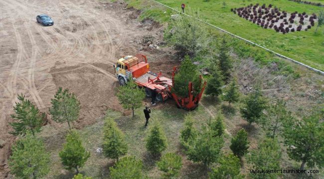 Büyükşehir, Mimarsinan OSB Kavşağı ile refüjleri ağaç taşıma yöntemi ile ağaçlandırıyor