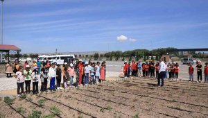 Büyükşehir'in Doğal Ürünler Bahçesi, minikleri ağırladı