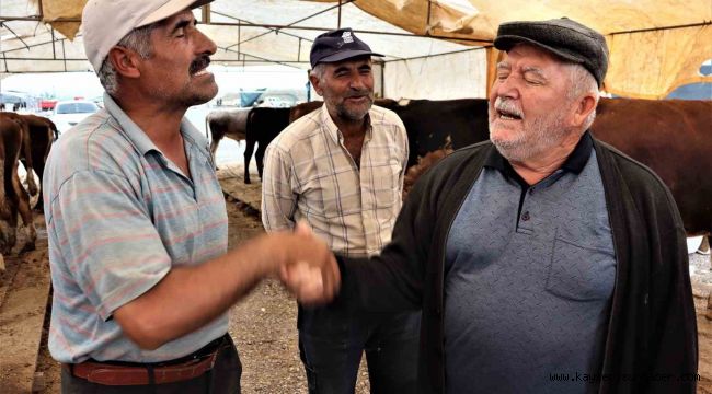 Kurbanlıklar görücüye çıktı, sıkı pazarlıklar başladı