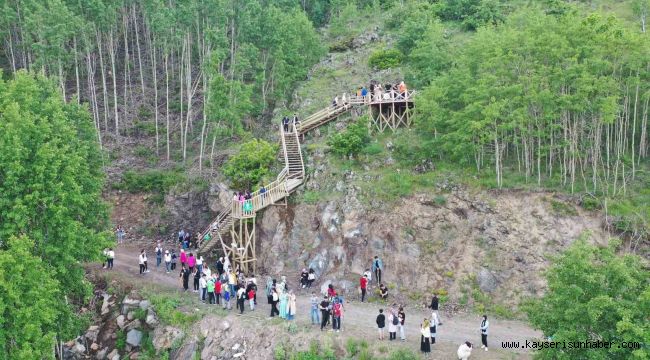 Ortaseki Ormanları Doğaseverlerin Gözde Mekanı Oldu