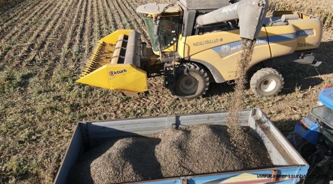 Ayçiçeği Hasadı Tomarzalı Üreticilerin Yüzünü Güldürdü