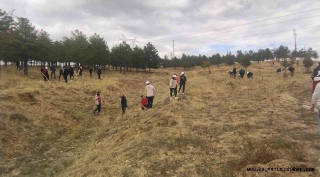 Büyükşehir, Bünyan'da öğrencilerle bin adet ağaç dikti