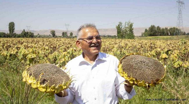 Büyükşehir'den ay çekirdeği üretiminde ilk sırada olan Kayseri'ye 5 kurutma sahası