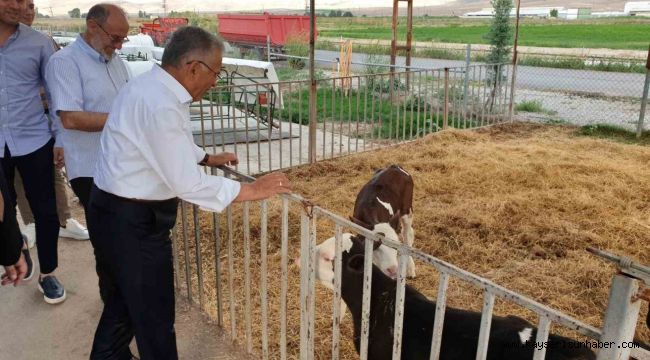 Büyükşehir'den Tarım Ve Hayvancılığa 5 Yılda Yaklaşık 500 Milyon TL'lik Yatırım