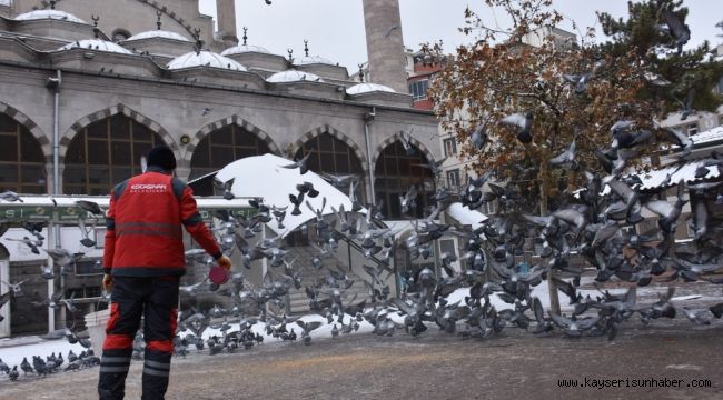 Kocasinan'dan kış mevsimi boyunca sokak ve yaban hayvanları için 18 ton yem