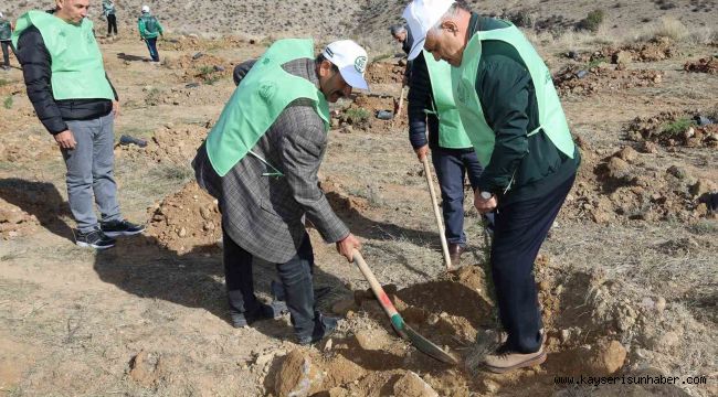 Yahyalı'da binlerce fidan toprakla buluştu