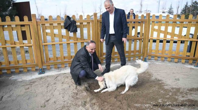 Büyükşehir'in köpek eğitim parkuru Mİllet Bahçesi'nde hizmete hazır