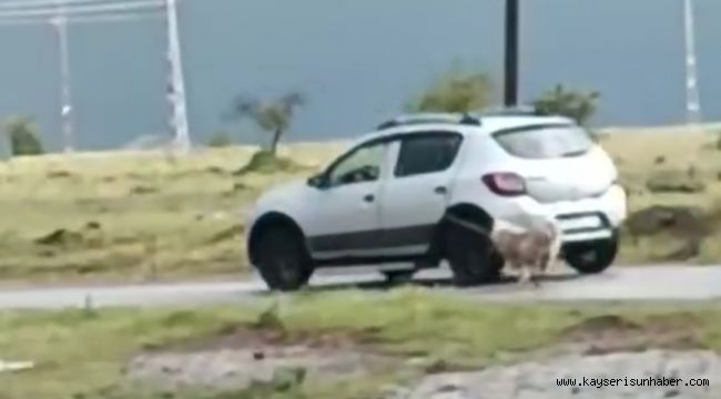 Köpeği otomobile iple bağlayıp sürükledi