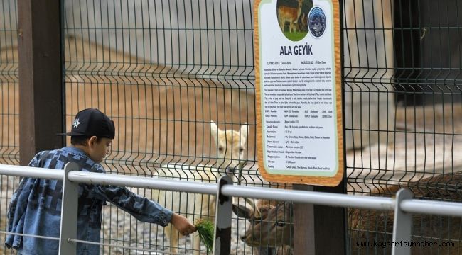 Büyükşehir Hayvanat Bahçesi, Kurban Bayramı'nda ücretsiz