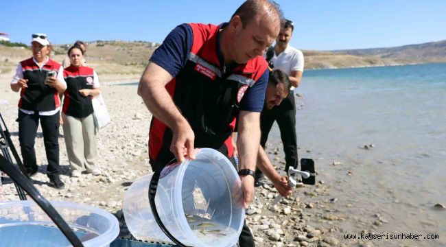 Kayseri'de sulara 1 buçuk milyon balık bırakıldı