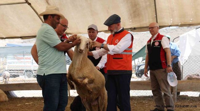 Kayseri'de tek, Türkiye'ye ise örnek olan profesyonel kurban hizmeti bayrama hazır