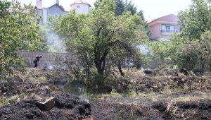 Ot yangını ikametlere sıçramadan söndürüldü