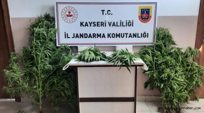 Jandarma Kayseri'de uyuşturucuya geçit vermiyor