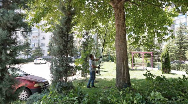 Talas'ta park ve bahçelere yaz bakımı