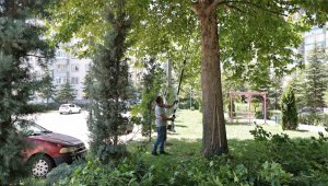 Talas'ta park ve bahçelere yaz bakımı