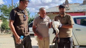 Yaralı bulunan kerkenez ve leylek tedavi altına alındı