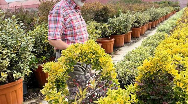 Başkan Çolakbayrakdar, "Şehrimizin yeşil dokusunu hem çeşitlendiriyor hem genişletiyoruz"