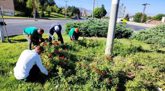 Büyükşehir, yabancı otlarla mücadele ve bakım çalışmalarına hız verdi