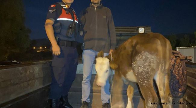 Kayseri'de çalındı, Kahramanmaraş'ta bulundu