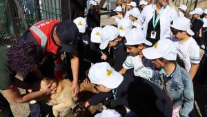 Hayvanları Koruma Günü'nde anlamlı etkinlik