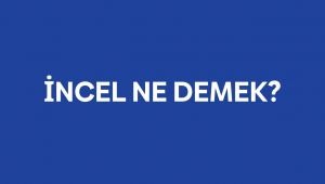 İncel ne demek? İncel nedir, ne anlama gelir?