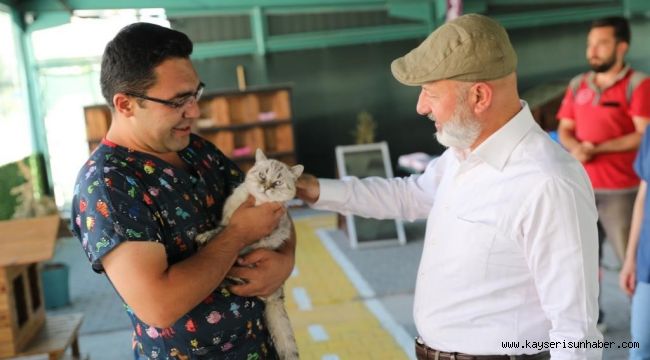 Kayseri'de ilk olan 'Küçük Dostlar Kedi Kasabası' ziyaretçi akınına uğruyor