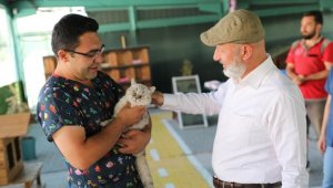 Kayseri'de ilk olan 'Küçük Dostlar Kedi Kasabası' ziyaretçi akınına uğruyor